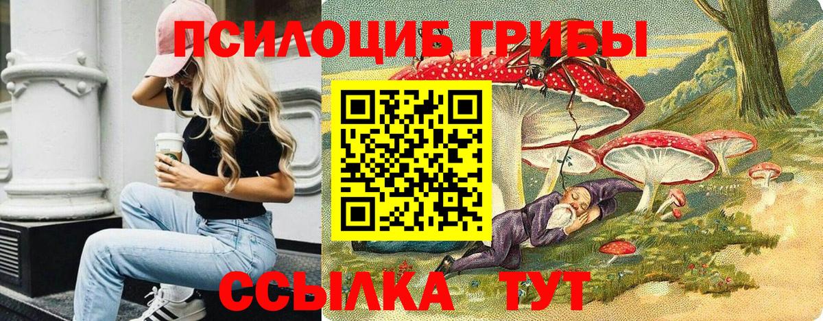 Алейск  Галлюциногенные грибы мухоморы  Вход с VPN 